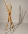 Leaves of Grass