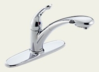 Signature Kitchen Pull-Down/Out Faucet
