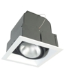 TE131 1-LIGHT PAR 30 SQUARE MULTIPLE TRIM