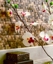 Palm Panels -  Boracay