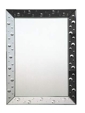 dalmation mirror