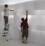 paper softwall