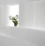 softwall + softblock modular system
