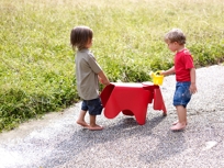 Eames Elephant