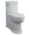 Archive Elongated 1-Piece Toilet