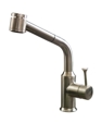 Pekoe Pull-Out Kitchen Faucet