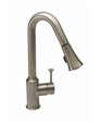 Pekoe Pull-Down Kitchen Faucet