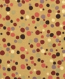 POLKA CRAZY POLKA CRAZY