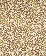 Pattern Pattern