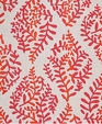 Ivy Paisley Ivy Paisley