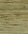 No. 1700 Pampas