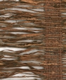 No. 211 Bark of Sari Tree