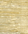 No. 27 Arrowroot