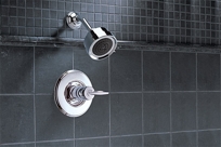 In-Wall Shower Only trim T14285