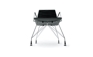 SPIDER CHAIR