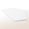 Corona Wedge Performance Wall Sconce