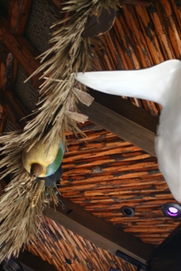 Palapa