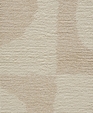 Textures Scoops - Shell