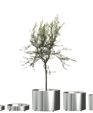 Nox Flora