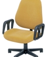 Chiroform