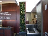 Living Walls