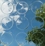 Convex