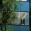 Convex