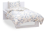 Dinosaur Organic Twin Sheet Set