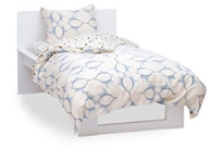 Dinosaur Organic Twin Duvet Set