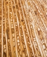 Kirei Board