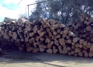 Olive wood logs