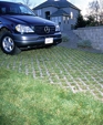 Turfstone