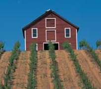Agricultural Plaster