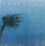 Laminated Glass