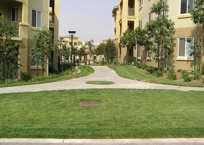 Grasscrete Grasscrete