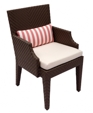 SRO Dining Arm Chair