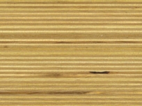 Birch
