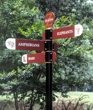 SignPoint