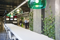 Green Walls Green Walls