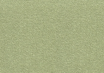 Arroyo Willow