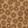 Acorn