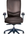 Leader: Executive