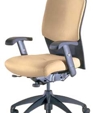 Leader: Executive