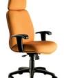 @Work: Executive