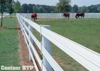 Centaur HTP5" Rail Horse Fencing
