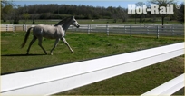 Hot-Rail HTP5" Electric Rail Horse Fencing