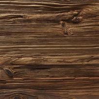 New England Hemlock Bear Wood – unfinished New England Hemlock Bear Wood – unfinished