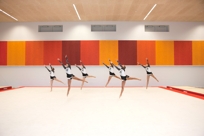Troldtekt acoustic panels