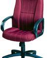 COP 6590