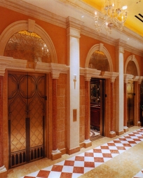Bronze Elevator Door Skins Bronze Elevator Door Skins